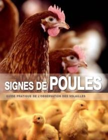 Poules2